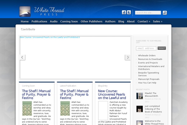 Magnificent theme site design template sample