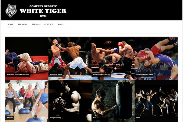 whitetiger.ro site used Osaka