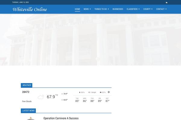 Site using Td-multi-purpose plugin