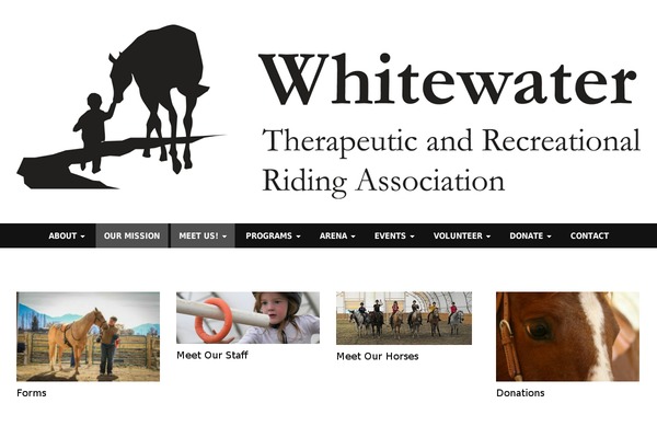 WP Simple theme site design template sample