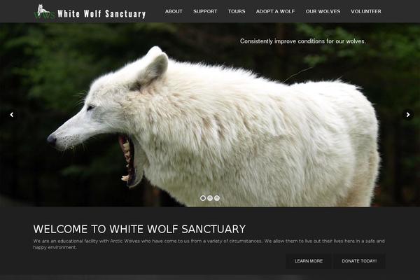 North theme site design template sample