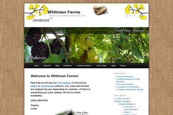 Twentyelevenchild theme site design template sample
