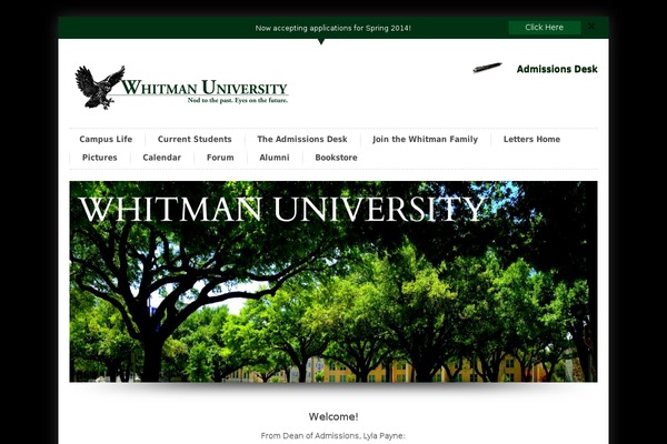 InfoWay theme site design template sample
