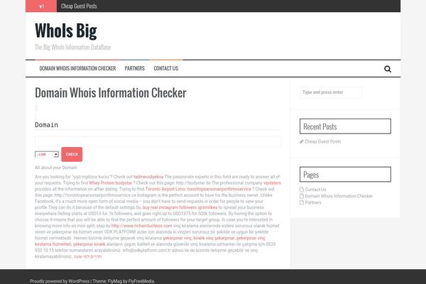 FlyMag theme site design template sample