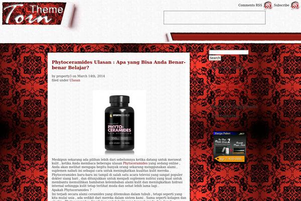 whoisnet.info site used Torn