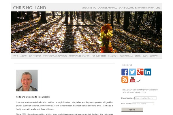 picolight theme site design template sample