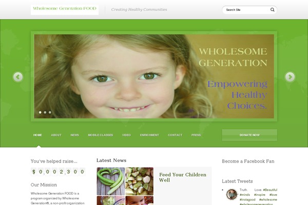 Aid theme site design template sample