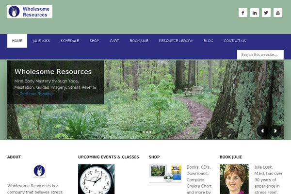 Outreach Pro theme site design template sample