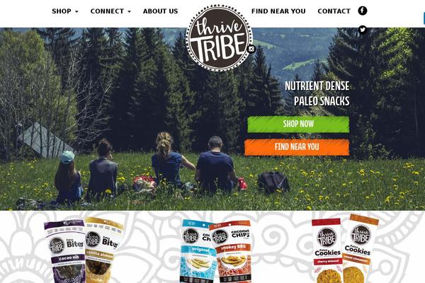 Canvas-child theme site design template sample