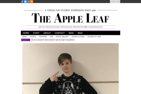Site using Twitter Feed plugin