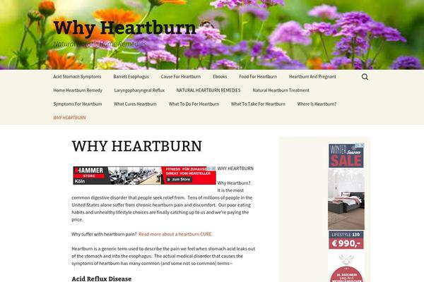 Twenty Thirteen theme site design template sample