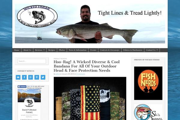 wickedfishah.com site used Magazinechild