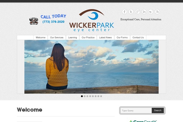 Simple Catch Pro theme site design template sample