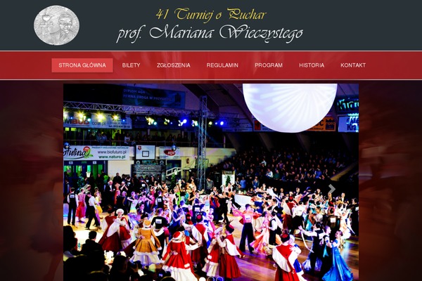 Enigma theme site design template sample