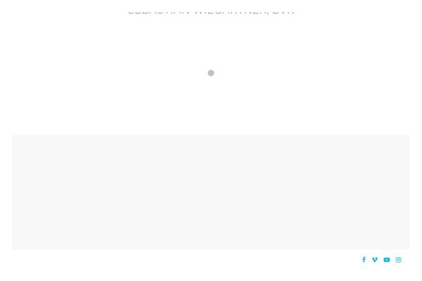 Site using Js_composer_salient plugin