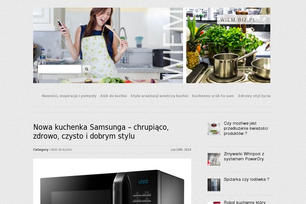 Workality Lite theme site design template sample