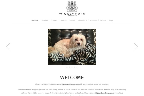 Organic_photographer theme site design template sample