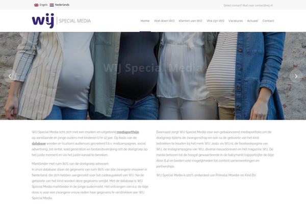Site using Wp-multilang plugin