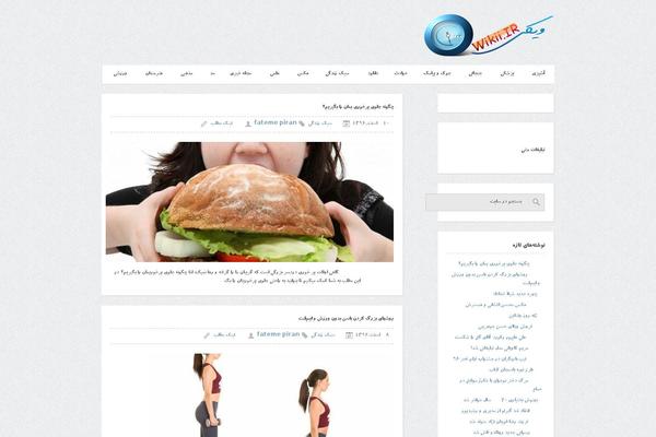 Cleanmag theme site design template sample