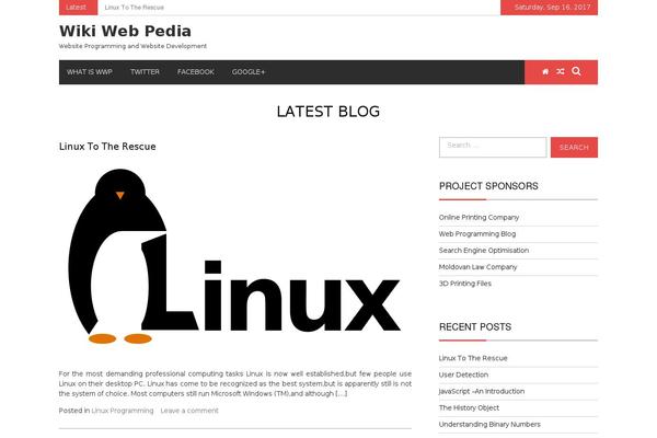 eMag theme site design template sample