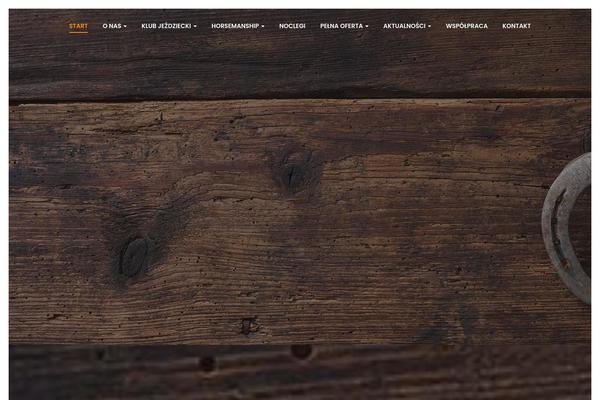 Shoestrap 3 theme site design template sample
