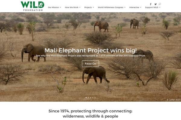 Site using Kk-divi-blogger plugin