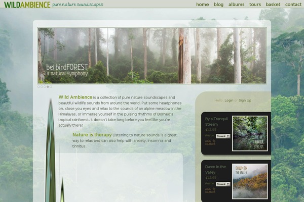Site using Media Player Style Kit plugin