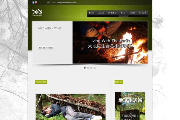 Orion_tcd037 theme site design template sample