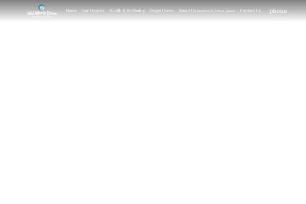 Zephyr theme site design template sample