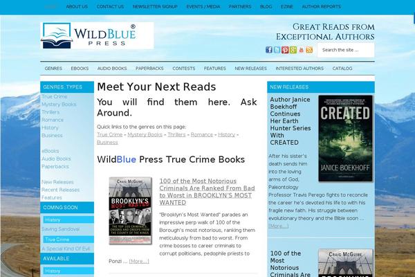 Magazine Pro theme site design template sample