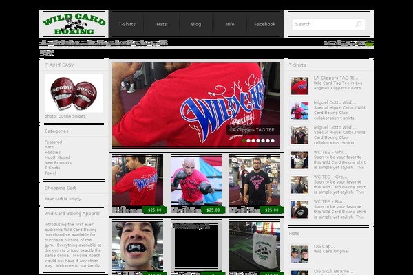 storefront-blank-child-theme theme websites examples