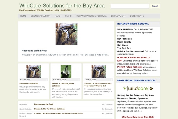 Arras Theme theme site design template sample