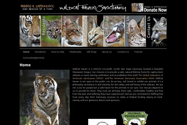 Sliding Door theme site design template sample