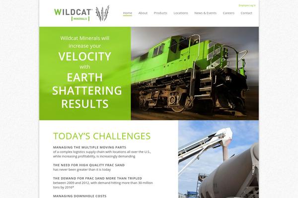 Wildcat theme site design template sample