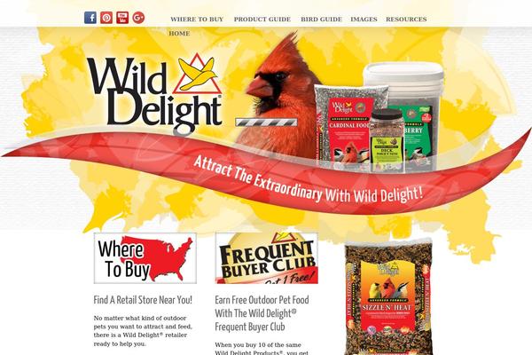 Wd theme site design template sample