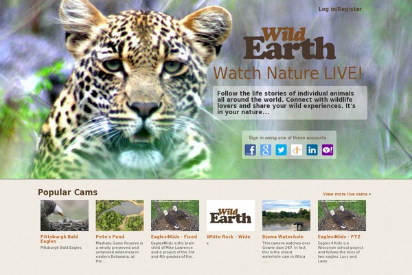 Site using iFlyChat - WordPress Chat plugin