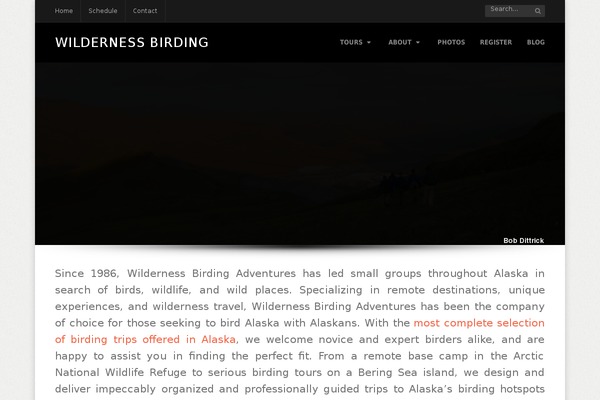 Wpex Thunder theme site design template sample
