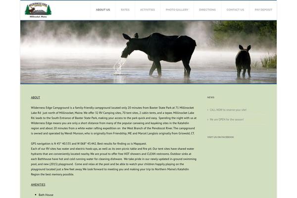 Royalgold theme site design template sample