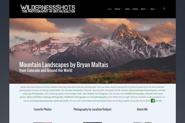 Salient theme site design template sample