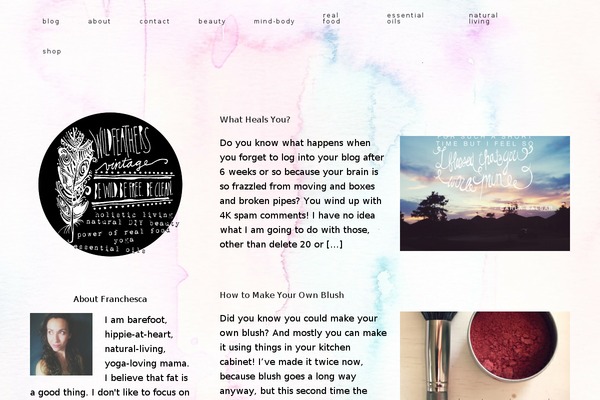 Site using Instagram for WordPress plugin