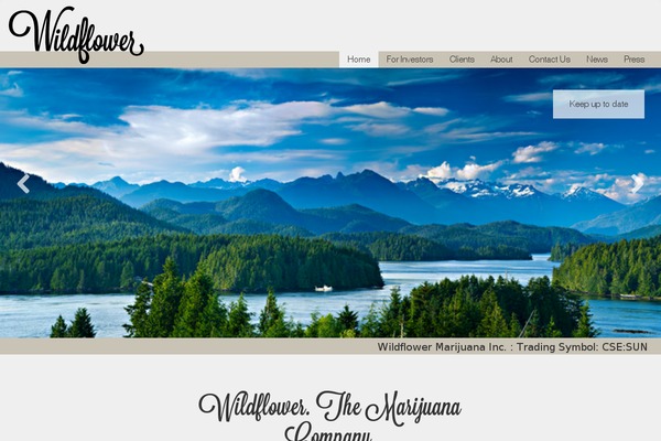 wildflower theme websites examples