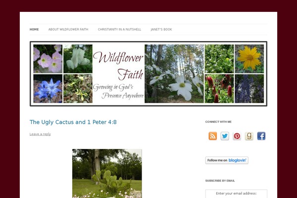 Wp Magazine theme site design template sample