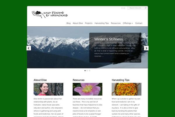 Chameleon theme site design template sample