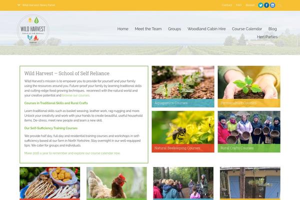 Polytechnic theme site design template sample