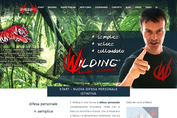 Elision theme site design template sample