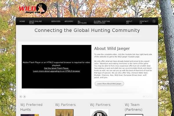 Alyeska theme site design template sample