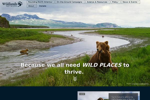 Wn theme site design template sample