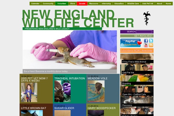 Site using Accordion Image Menu plugin