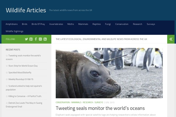 Site using Author and Post Statistic Widgets plugin