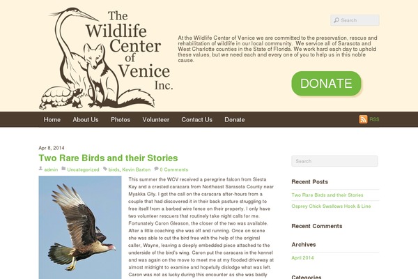Basic theme site design template sample